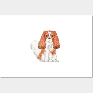 Cavalier King Charles Spaniel - Blenheim Watercolour Posters and Art